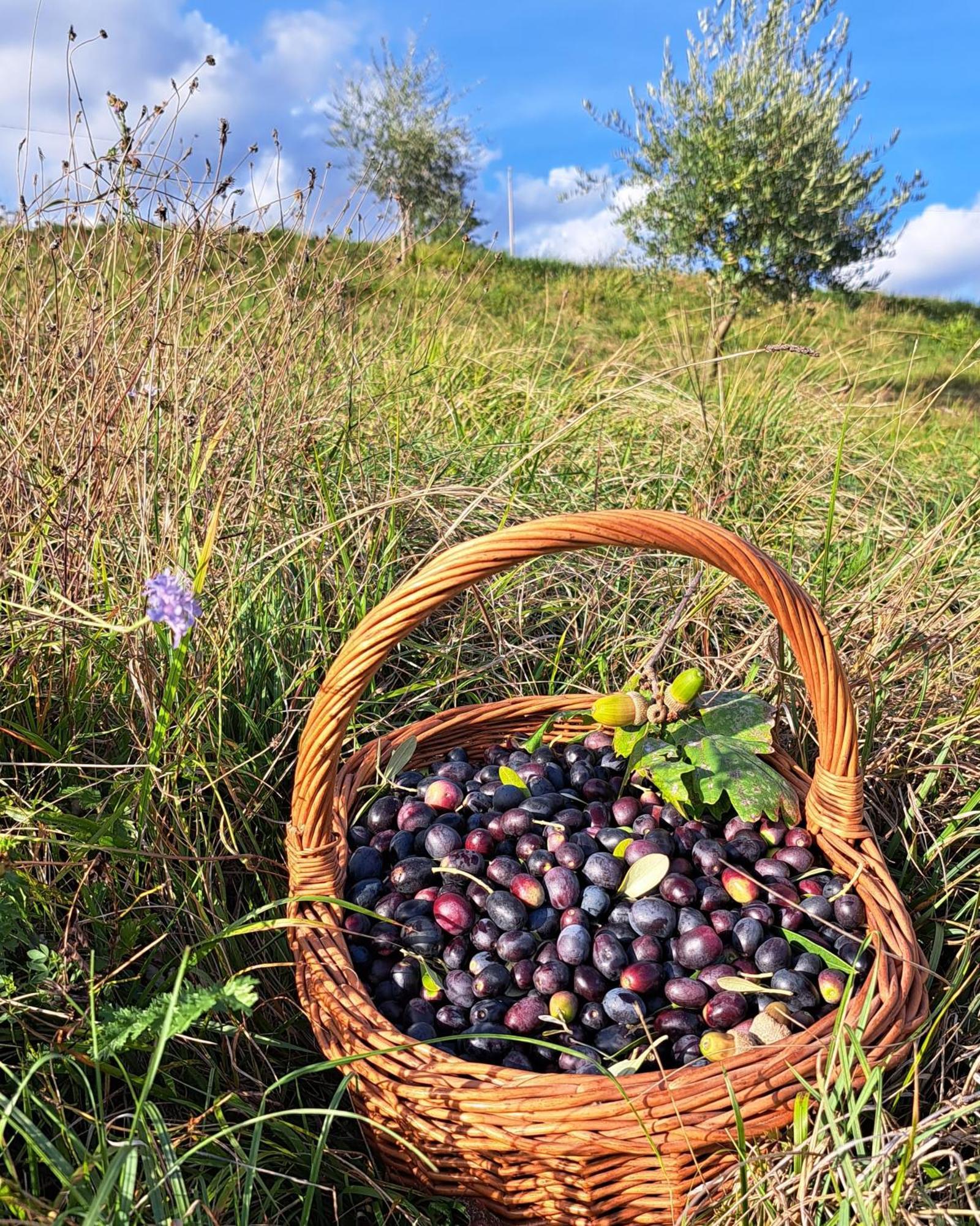 Agriturismo Riva Beata Cavaso Del Tomba Εξωτερικό φωτογραφία