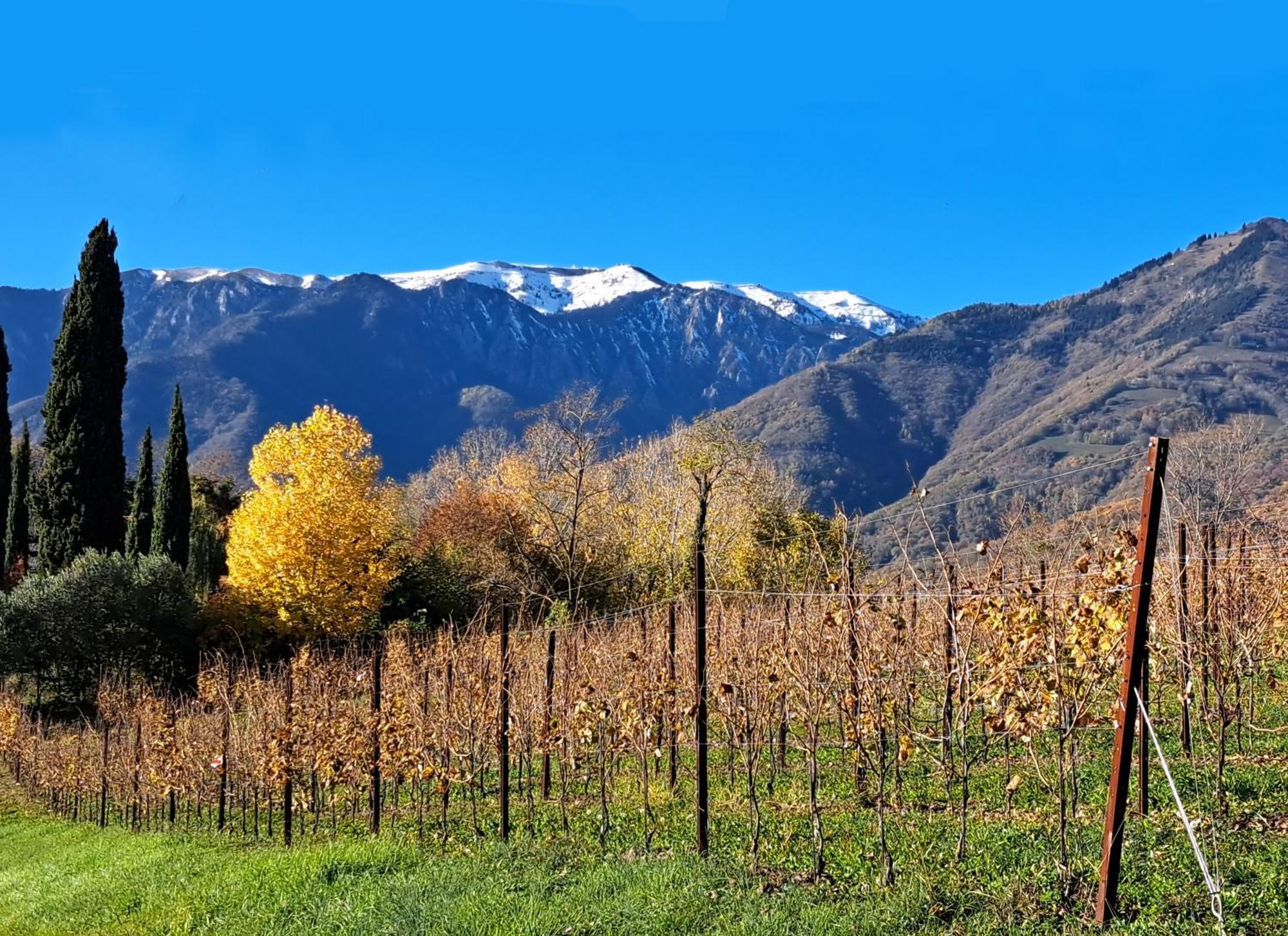 Agriturismo Riva Beata Cavaso Del Tomba Εξωτερικό φωτογραφία