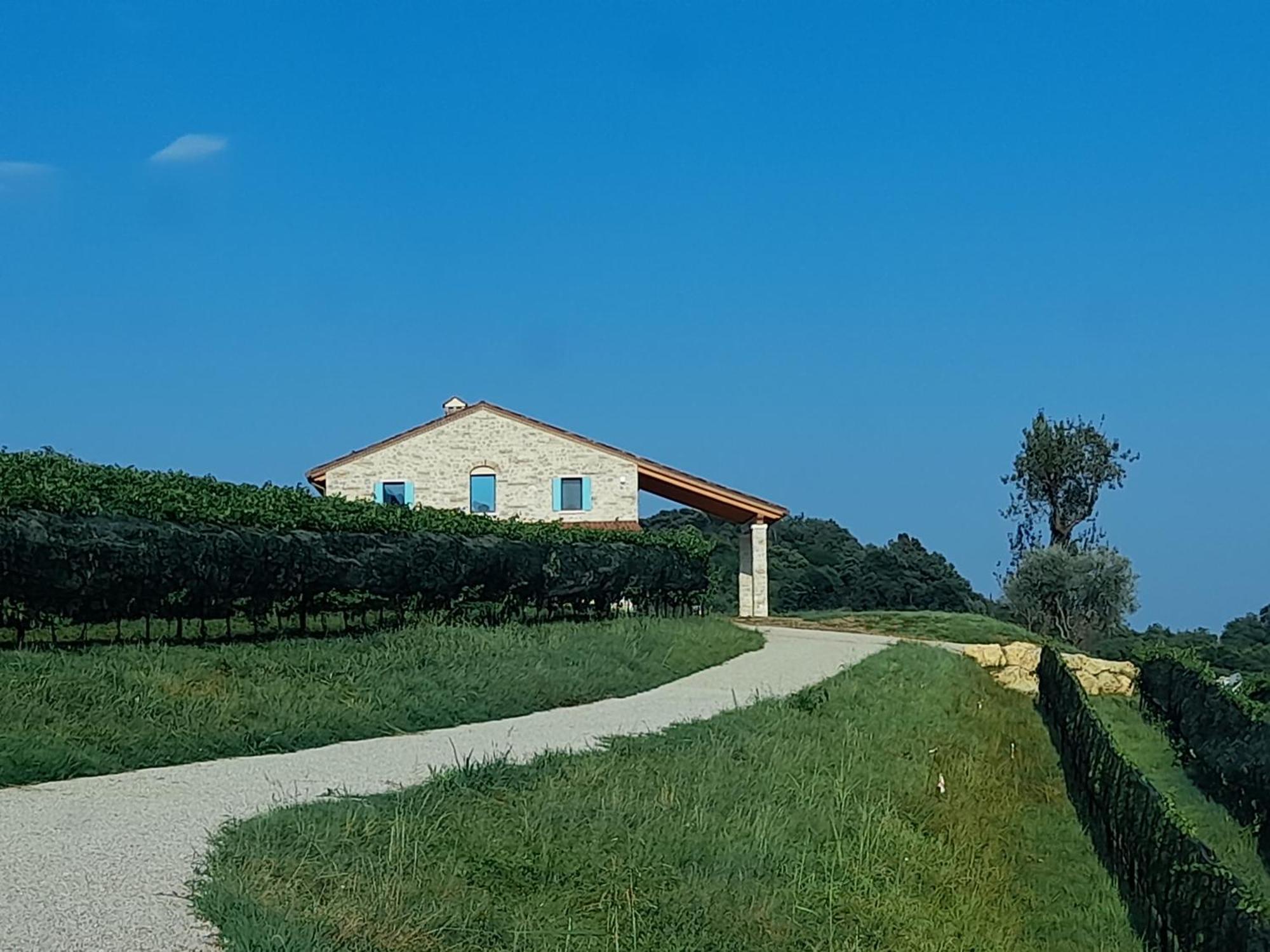 Agriturismo Riva Beata Cavaso Del Tomba Εξωτερικό φωτογραφία