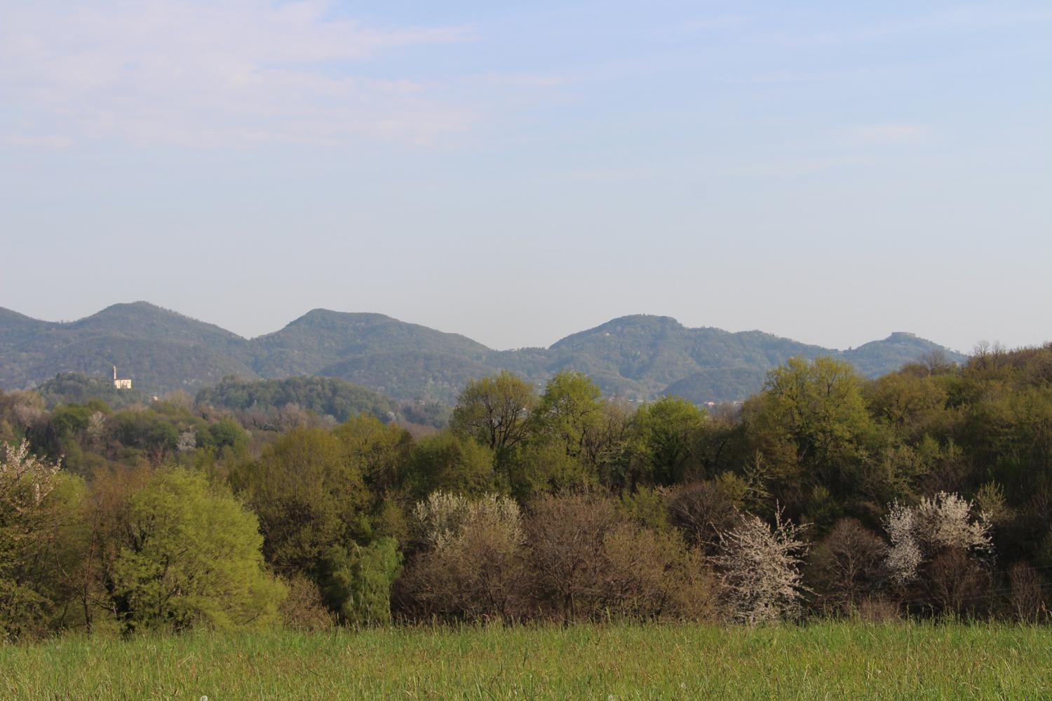 Agriturismo Riva Beata Cavaso Del Tomba Εξωτερικό φωτογραφία