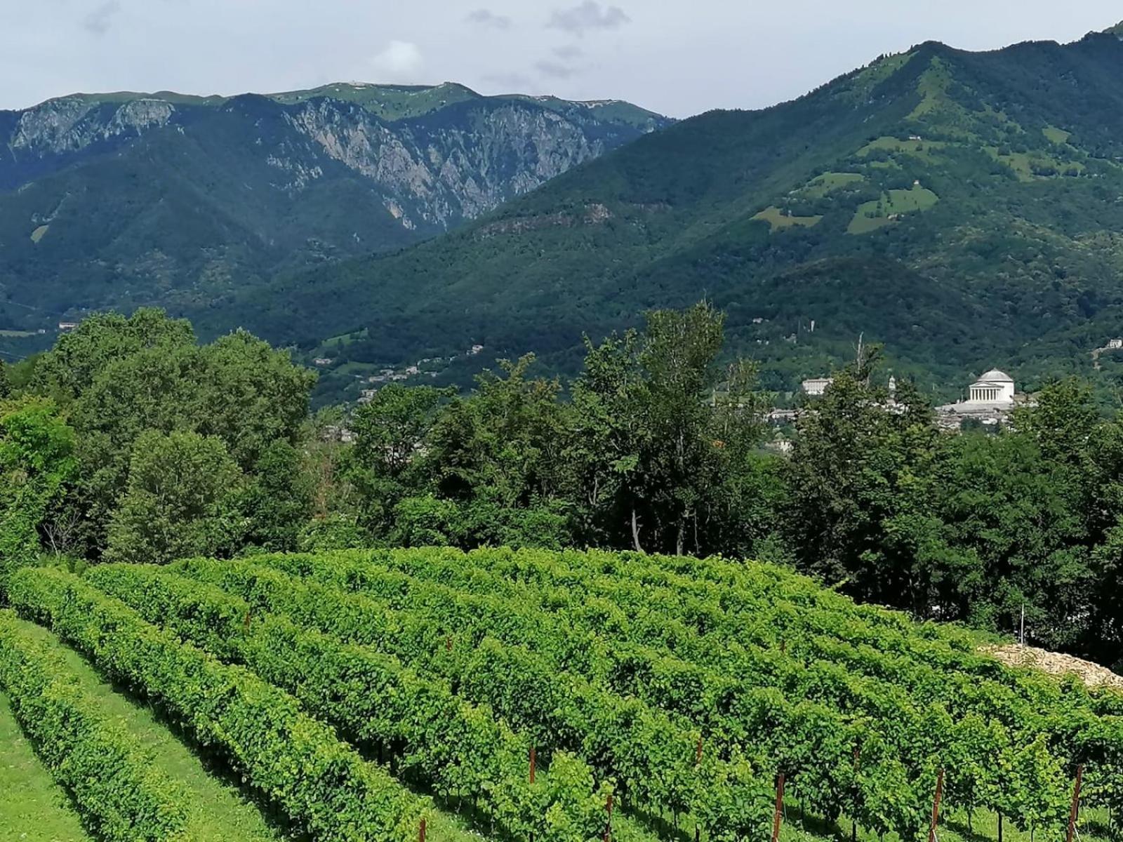 Agriturismo Riva Beata Cavaso Del Tomba Εξωτερικό φωτογραφία